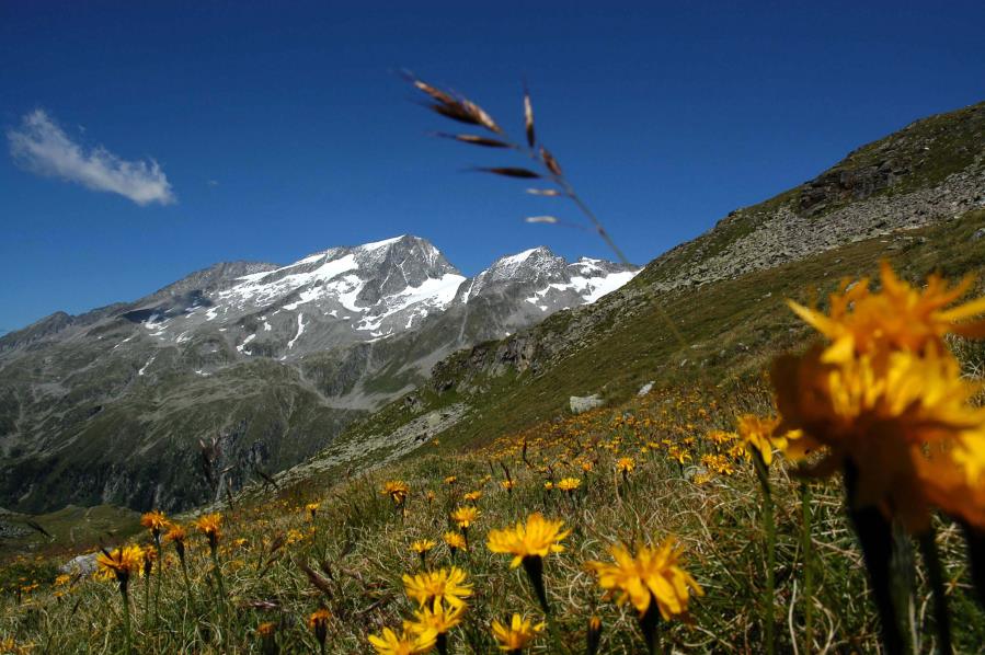 Wandersaison eröffnet