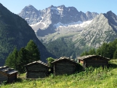 Knuttenalm-Rein-in-Taufers