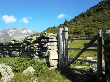 rein-in-taufers-gatter-tor-alm-ahrntal-wandern