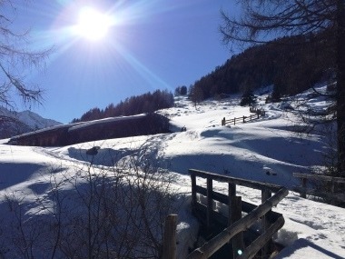 rein-in-taufers-winterwandern-ahrntal-loipe