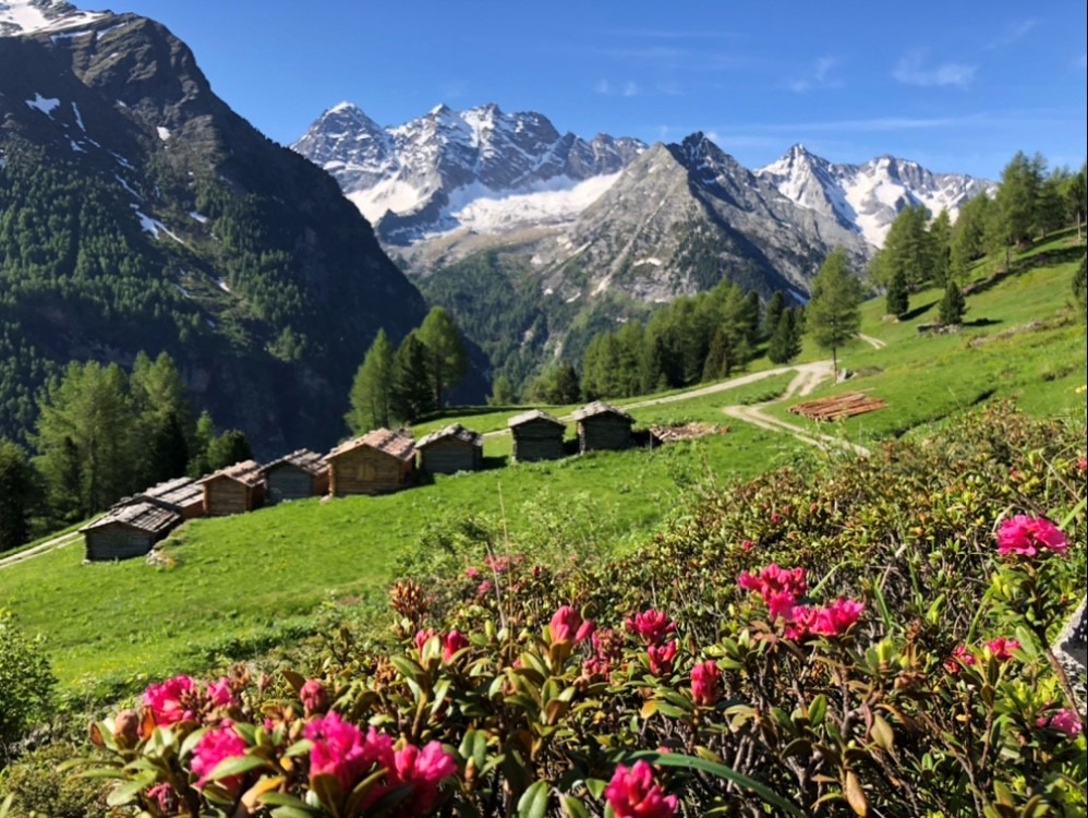 Lobisa Schupfen Rein Ahrntal