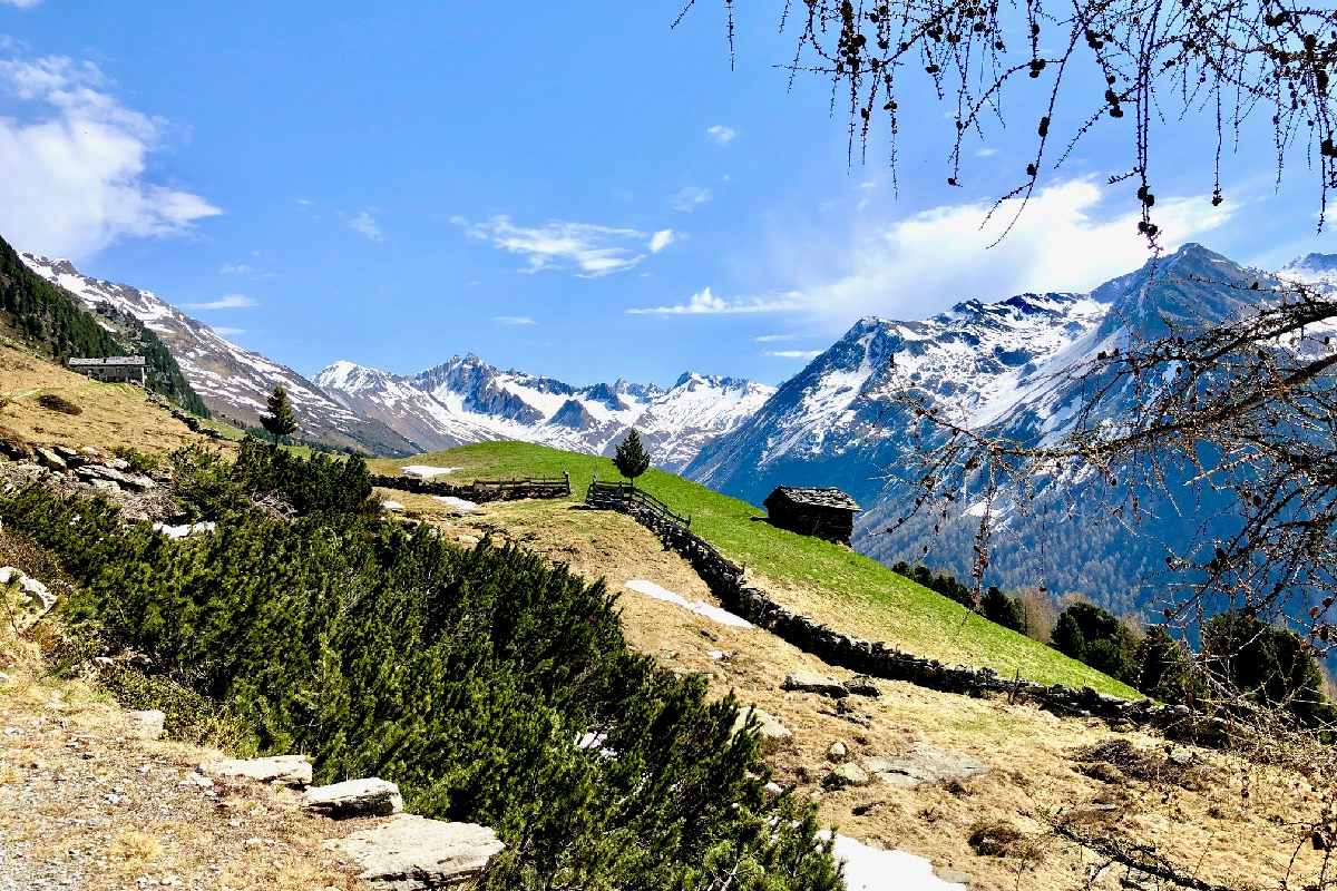 Bild: Panorama Hirberalm